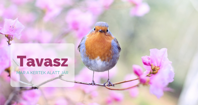 tavasz